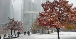 তীব্র শীত-তুষারপাতে আচ্ছন্ন কানাডা, ভারী তুষারঝড়ের পূর্বাভাস